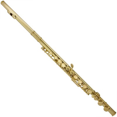 Mendini by Cecilio MFE-L Gold Color C Flute with Stand, Tuner, 1 Year Warranty, Case, Cleaning Rod, Cloth, Joint Grease, and Gloves   